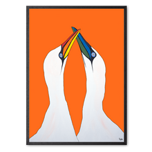 Load image into Gallery viewer, Orange Gannets
