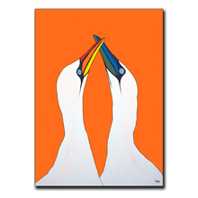 Load image into Gallery viewer, Orange Gannets
