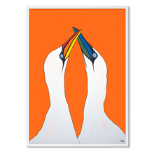 Load image into Gallery viewer, Orange Gannets
