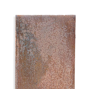 Rygrad & Skjold<br>Skulpturel installation<br>Varierende størrelser