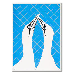 Gannets in Love<br>Originalt værk<br>Originalt værk<br>Akvarel<br>50 x 70 cm<br><font color="blue">Kan kun købes på Færøerne</font>