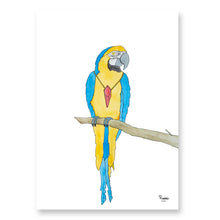 Load image into Gallery viewer, Peppelin the Parrot&lt;br&gt;Several variants&lt;br&gt;&lt;i&gt;With&lt;/i&gt; and &lt;i&gt;without&lt;/i&gt; word
