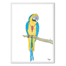 Load image into Gallery viewer, Peppelin the Parrot&lt;br&gt;Several variants&lt;br&gt;&lt;i&gt;With&lt;/i&gt; and &lt;i&gt;without&lt;/i&gt; word
