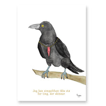 Load image into Gallery viewer, Ragnar the Raven&lt;br&gt;Several variants&lt;br&gt;&lt;i&gt;With&lt;/i&gt; and &lt;i&gt;without&lt;/i&gt; word
